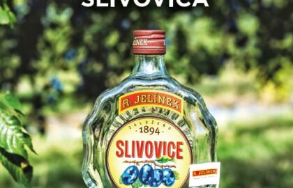 Slivovica_50_A4_vizual